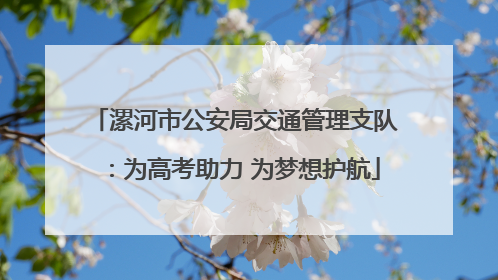漯河市公安局交通管理支队：为高考助力 为梦想护航