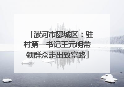 漯河市郾城区：驻村第一书记王元明带领群众走出致富路