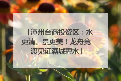 漳州台商投资区：水更清、景更美！龙舟竞渡见证满城碧水