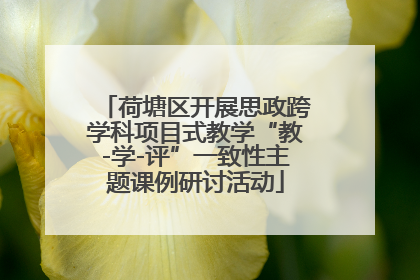 荷塘区开展思政跨学科项目式教学“教-学-评”一致性主题课例研讨活动