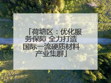 荷塘区：优化服务保障 全力打造国际一流硬质材料产业集群