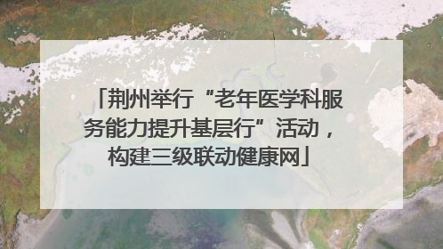 荆州举行“老年医学科服务能力提升基层行”活动，构建三级联动健康网