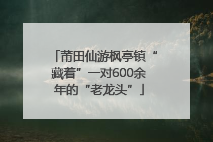 莆田仙游枫亭镇“藏着”一对600余年的“老龙头”
