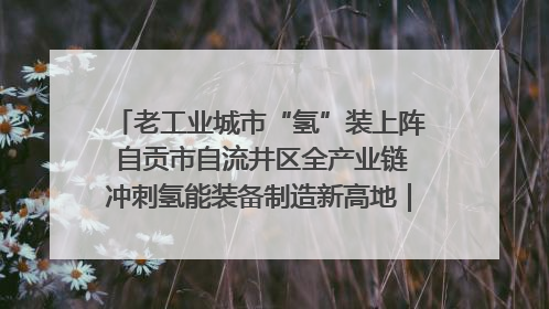 老工业城市“氢”装上阵 自贡市自流井区全产业链冲刺氢能装备制造新高地｜美好生活有“盐”味
