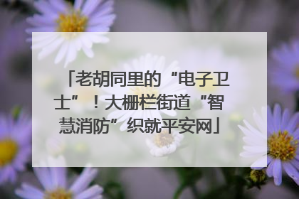老胡同里的“电子卫士”！大栅栏街道“智慧消防”织就平安网