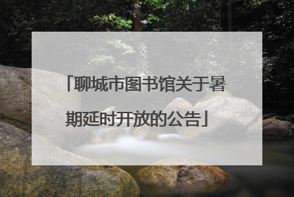 聊城市图书馆关于暑期延时开放的公告
