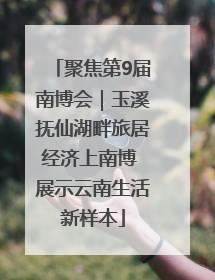 聚焦第9届南博会｜玉溪抚仙湖畔旅居经济上南博 展示云南生活新样本