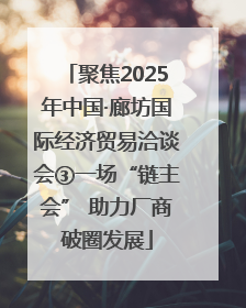 聚焦2025年中国·廊坊国际经济贸易洽谈会③一场“链主会” 助力厂商破圈发展