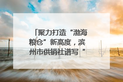 聚力打造“渤海粮仓”新高度，滨州市供销社谱写“三夏”丰收乐章