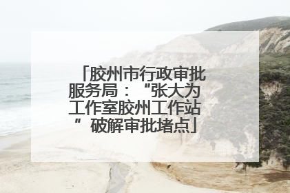 胶州市行政审批服务局：“张大为工作室胶州工作站”破解审批堵点
