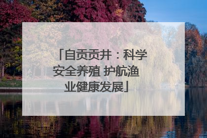 自贡贡井：科学安全养殖 护航渔业健康发展