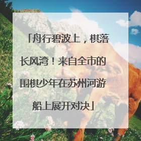 舟行碧波上，棋落长风湾！来自全市的围棋少年在苏州河游船上展开对决