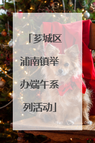 芗城区浦南镇举办端午系列活动