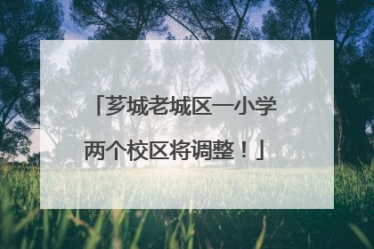 芗城老城区一小学两个校区将调整！