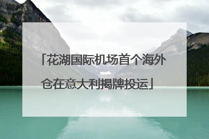 花湖国际机场首个海外仓在意大利揭牌投运