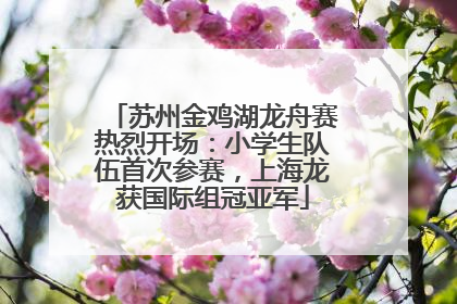 苏州金鸡湖龙舟赛热烈开场：小学生队伍首次参赛，上海龙获国际组冠亚军