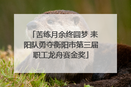 苦练月余终圆梦 耒阳队勇夺衡阳市第三届职工龙舟赛金奖