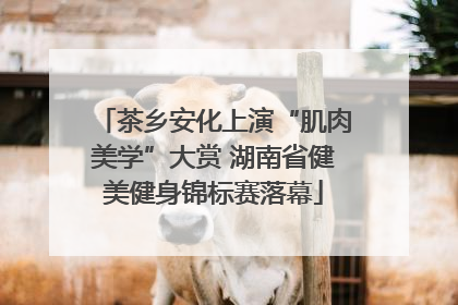 茶乡安化上演“肌肉美学”大赏 湖南省健美健身锦标赛落幕