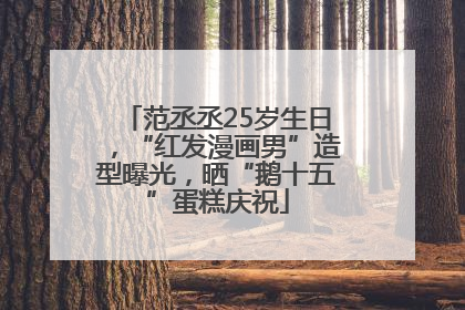 范丞丞25岁生日，“红发漫画男”造型曝光，晒“鹅十五”蛋糕庆祝