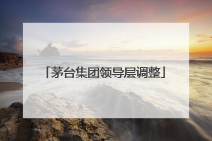 茅台集团领导层调整