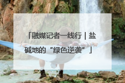 融媒记者一线行｜盐碱地的“绿色逆袭”