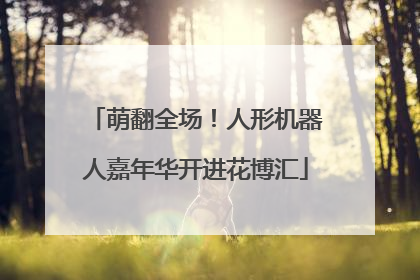萌翻全场！人形机器人嘉年华开进花博汇