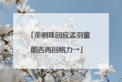 董明珠回应孟羽童能否再回格力→