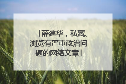 薛建华，私藏、浏览有严重政治问题的网络文章