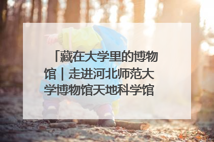 藏在大学里的博物馆｜走进河北师范大学博物馆天地科学馆：在校园里赴一场“宇宙之约”