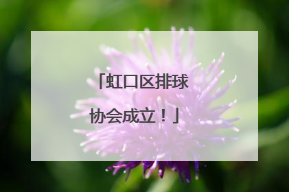 虹口区排球协会成立！