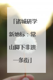 诸城研学新地标：常山脚下非遗一条街