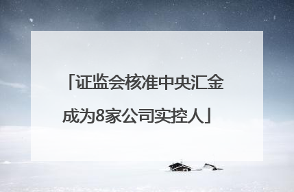 证监会核准中央汇金成为8家公司实控人