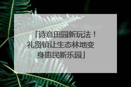 诗意田园新玩法！礼贤镇让生态林地变身惠民新乐园