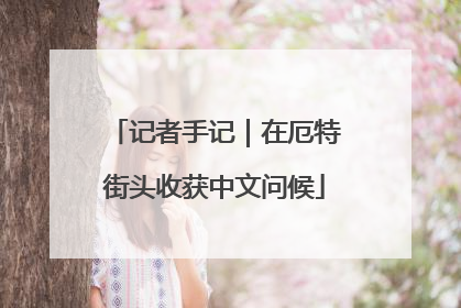 记者手记｜在厄特街头收获中文问候