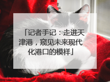 记者手记：走进天津港，窥见未来现代化港口的模样