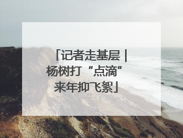 记者走基层｜杨树打“点滴” 来年抑飞絮