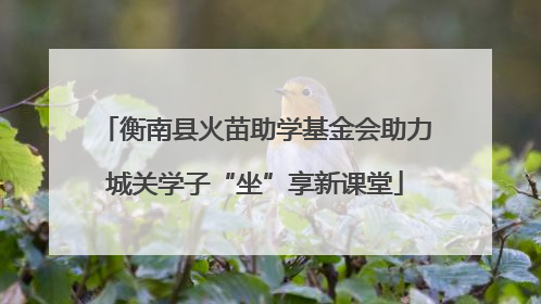 衡南县火苗助学基金会助力城关学子“坐”享新课堂