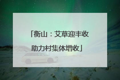 衡山：艾草迎丰收 助力村集体增收