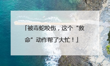 被毒蛇咬伤，这个“救命”动作帮了大忙！