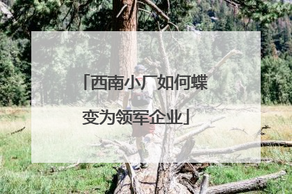 西南小厂如何蝶变为领军企业