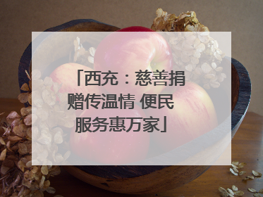 西充：慈善捐赠传温情 便民服务惠万家