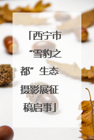 西宁市“雪豹之都”生态摄影展征稿启事