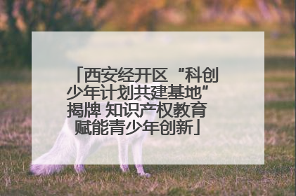 西安经开区“科创少年计划共建基地”揭牌 知识产权教育赋能青少年创新