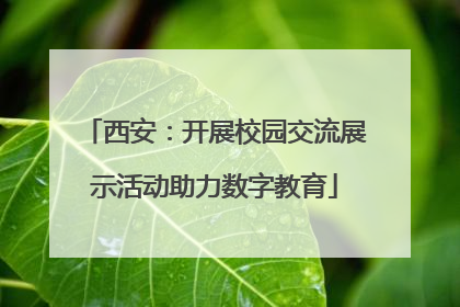 西安：开展校园交流展示活动助力数字教育