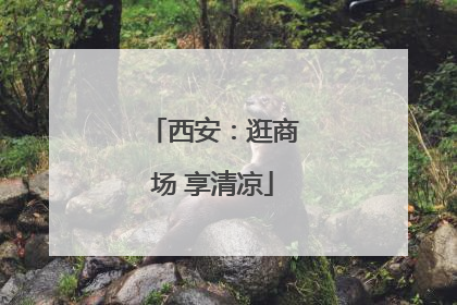 西安：逛商场 享清凉