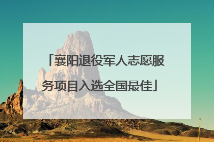 襄阳退役军人志愿服务项目入选全国最佳