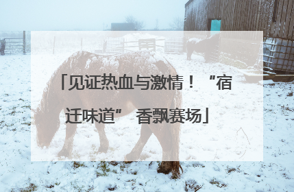 见证热血与激情！“宿迁味道” 香飘赛场