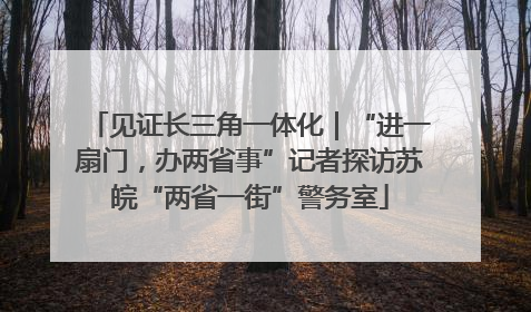 见证长三角一体化｜“进一扇门，办两省事”记者探访苏皖“两省一街”警务室