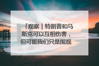观察｜特朗普和马斯克可以互相伤害，但可能我们只是围观了一场闹剧