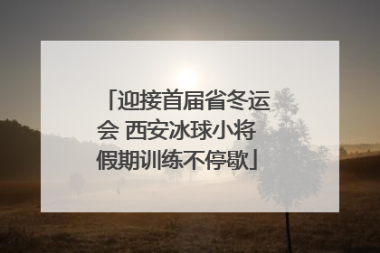 迎接首届省冬运会 西安冰球小将假期训练不停歇
